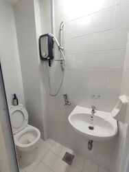 Changi Green (D16), Condominium #583424381